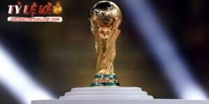 số liệu thống kê giải đấu The FIFA World Cup